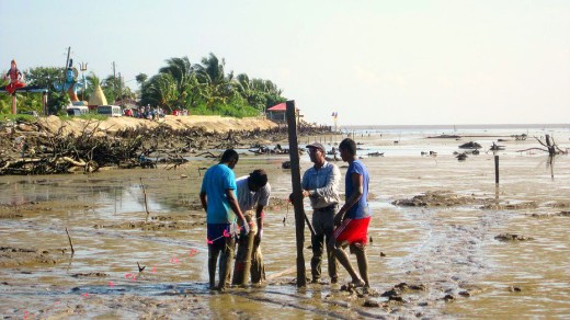 Conservation International Coastal Protection Weg Naar Zee project